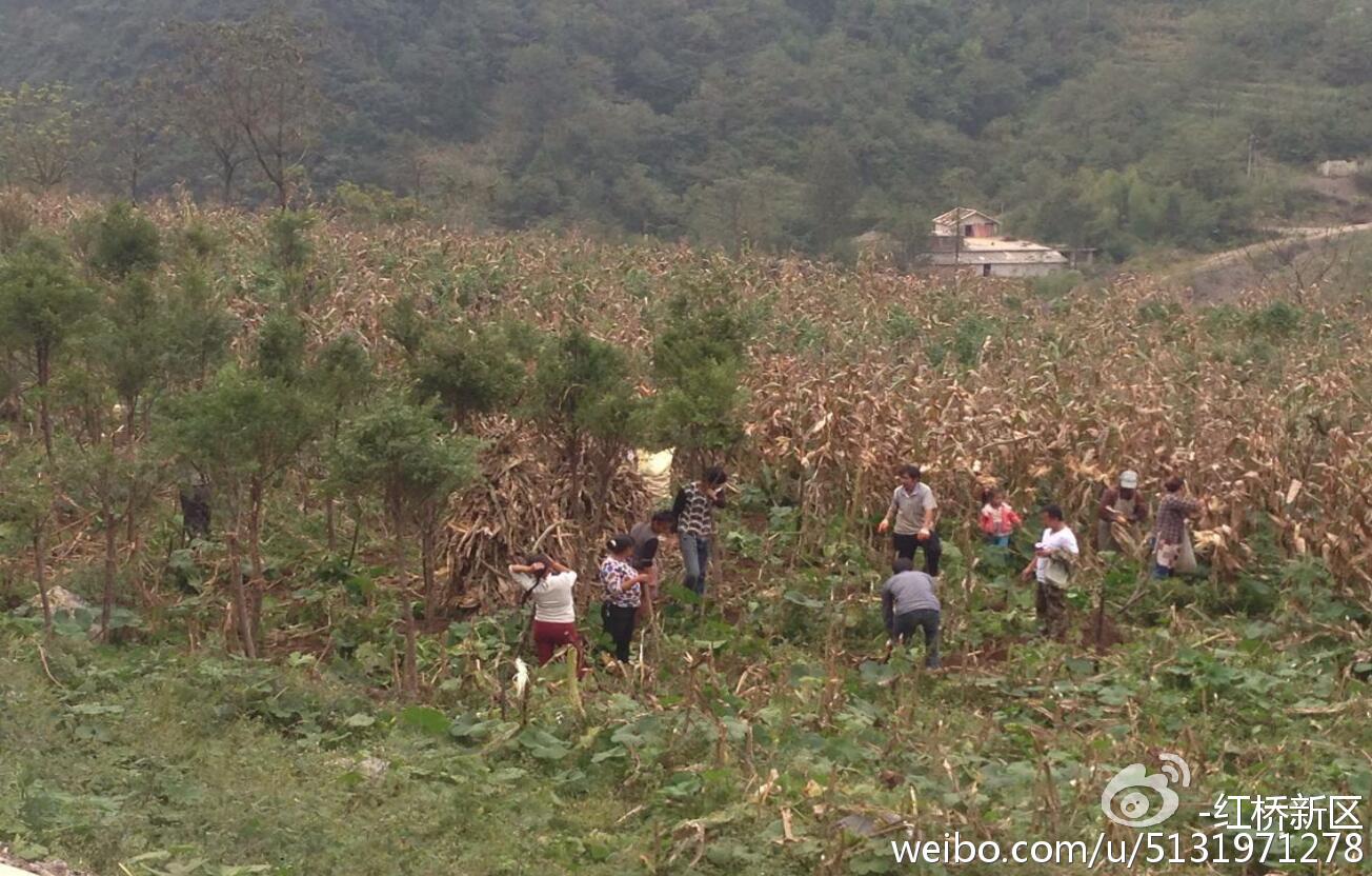 金沙乐娱场app下载苹果