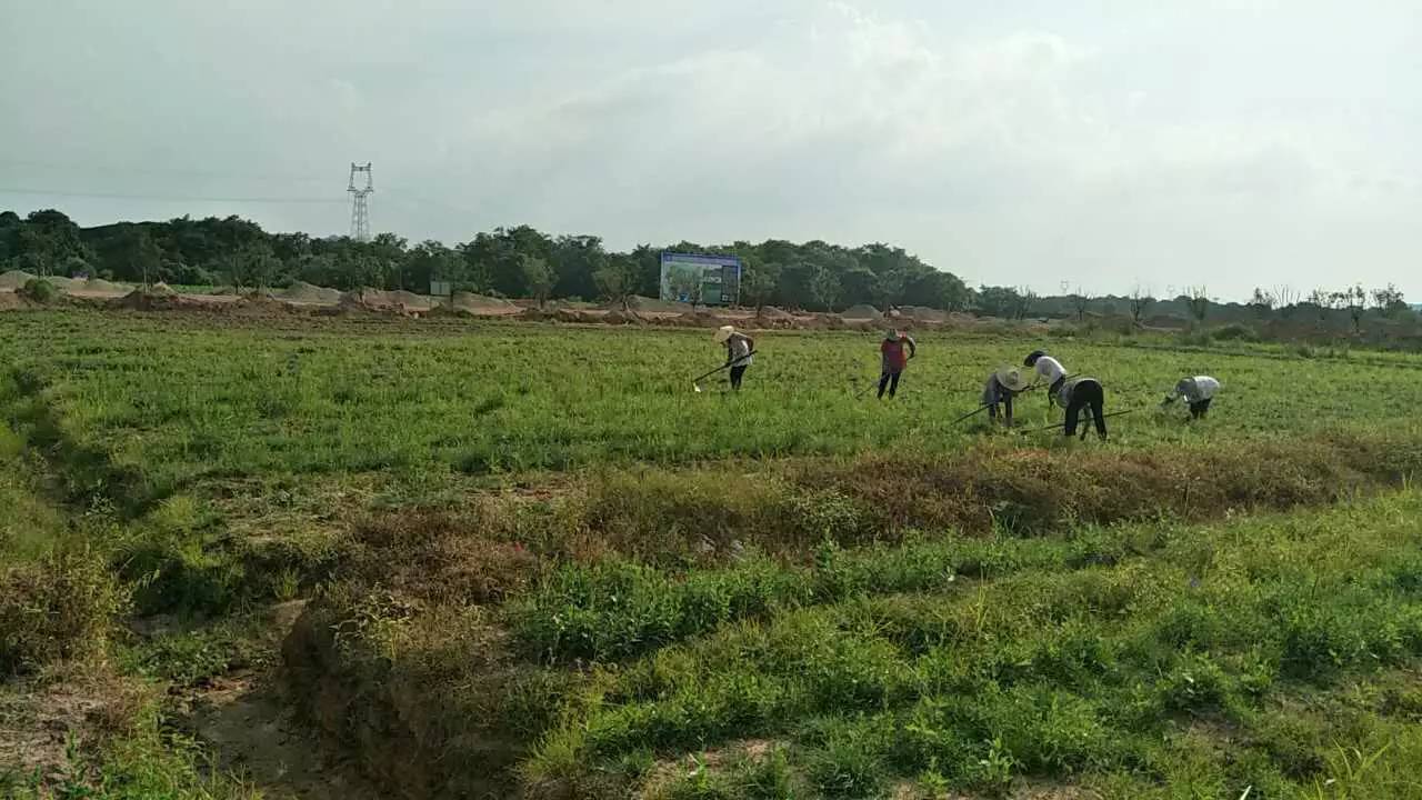 金沙乐娱场app下载苹果